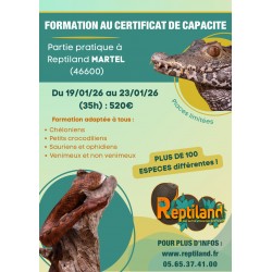 Stage 35h cdc du 19 au 23...