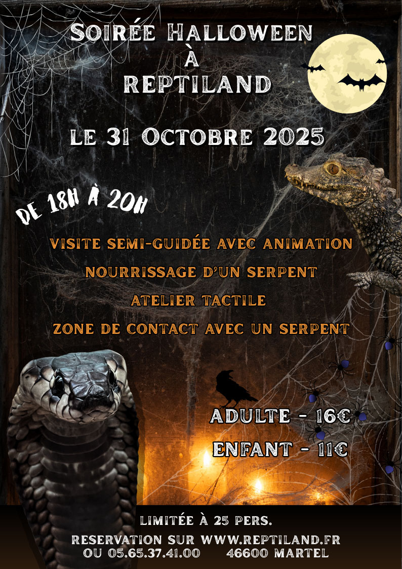 soiree